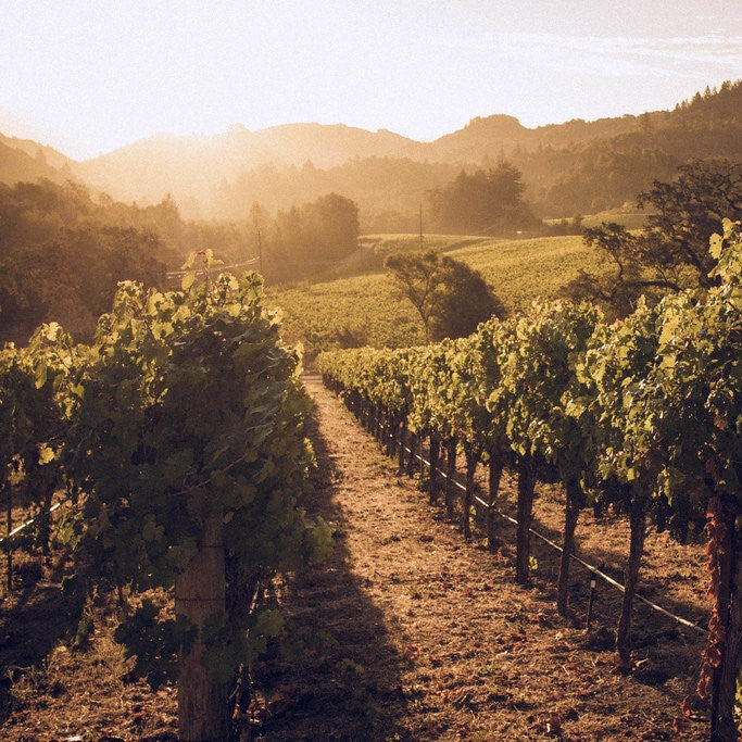 Hess Vineyards, photo by mat79