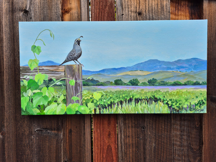 Quail on Vineyard Watch by Catherine McCargar |  Context View of Artwork