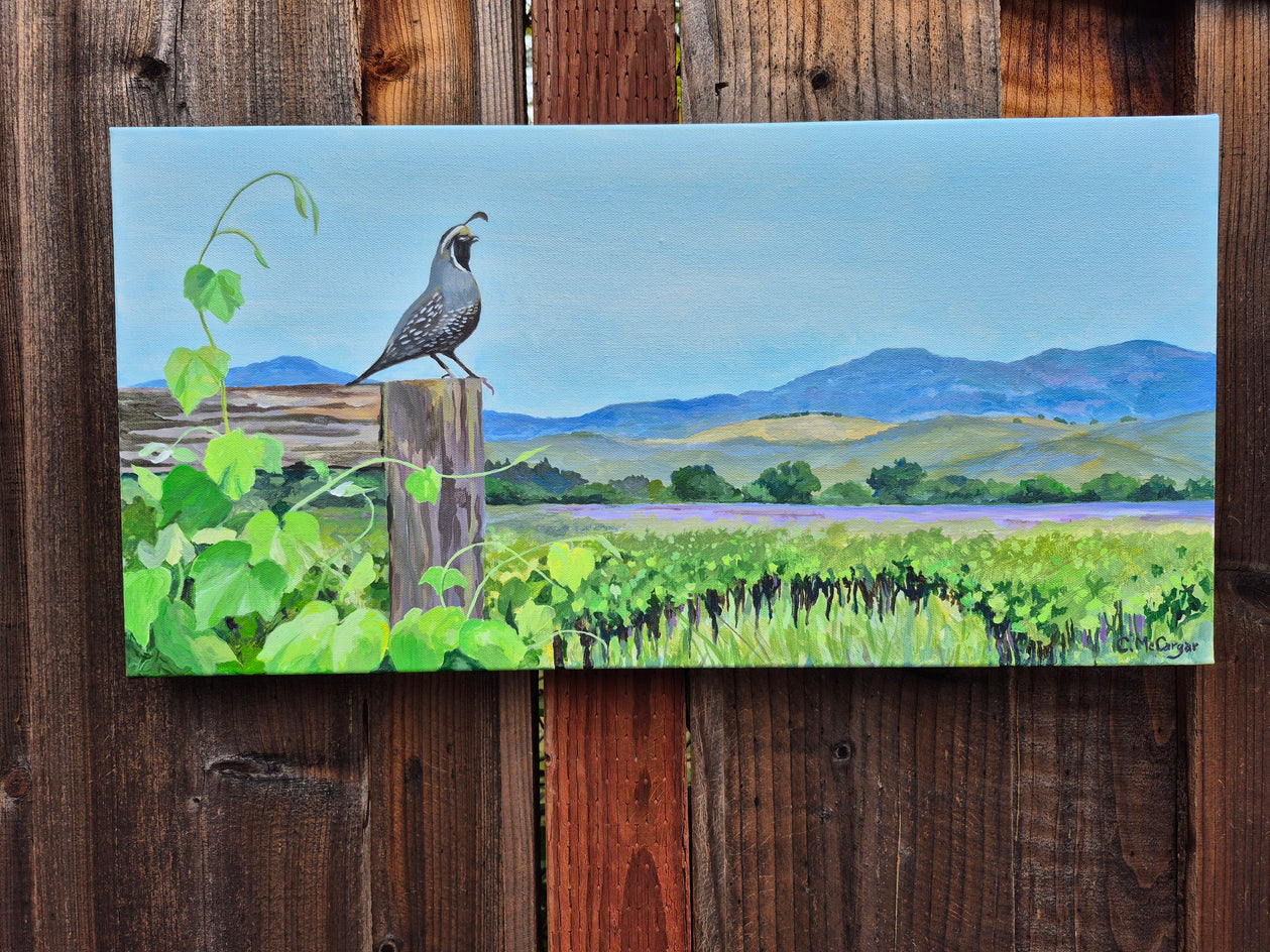 Quail on Vineyard Watch by Catherine McCargar |  Context View of Artwork