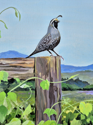 Quail on Vineyard Watch by Catherine McCargar |   Closeup View of Artwork