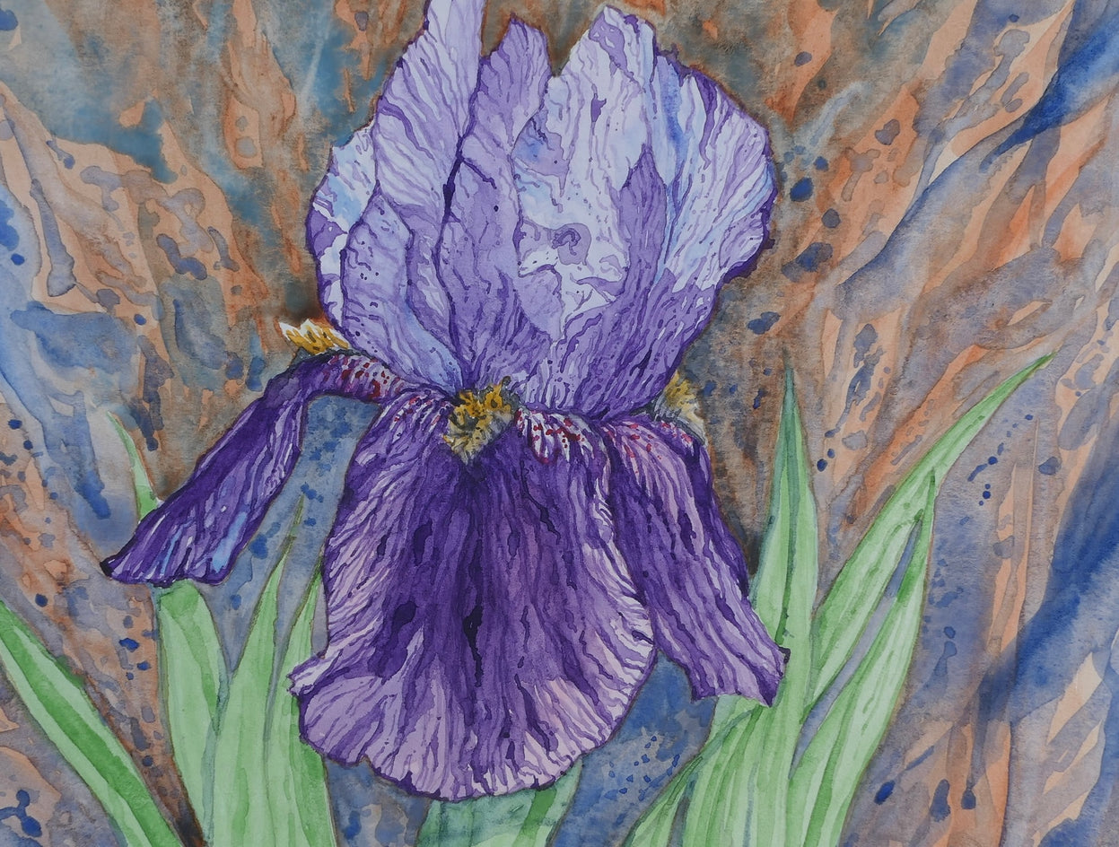 Purple Iris #2 by Jay Jensen |  Closeup View of Artwork