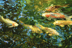 Original art for sale at UGallery.com | Hungry Koi by Onelio Marrero | $875 | oil painting | 12' h x 24' w | thumbnail 4