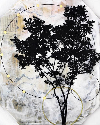 Circle of Life by Shannon Amidon |  Artwork Main Image