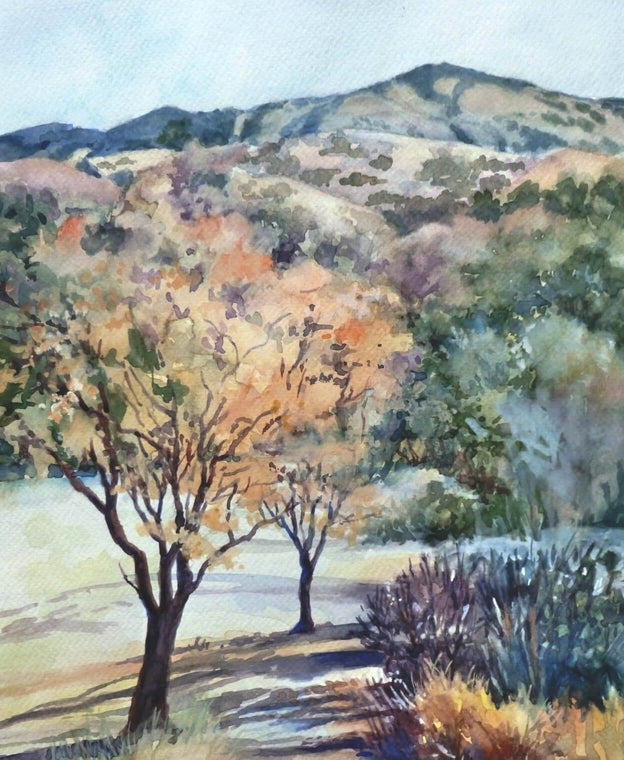 Landscapes