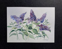 Original art for sale at UGallery.com | Buddleia Blooms by Catherine McCargar | $575 | watercolor painting | 11' h x 15' w | thumbnail 3