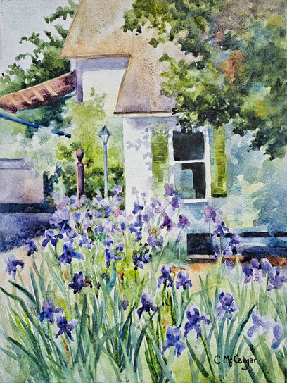 French Laundry Irises by Catherine McCargar | Artwork Main Image