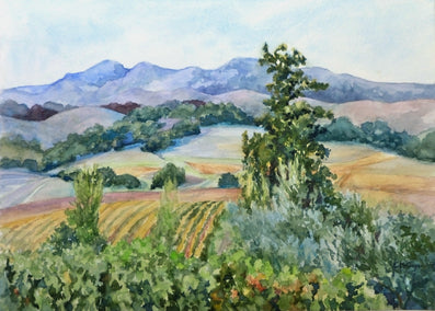 watercolor painting by Catherine McCargar titled Sonoma Vineyards