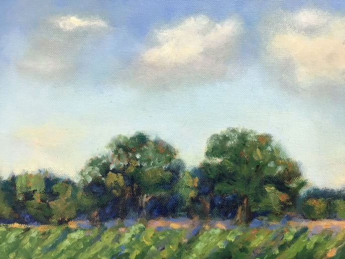 Sunday Afternoon, Delta Farmland by Elizabeth Garat |   Closeup View of Artwork
