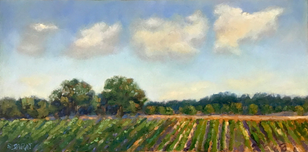 Sunday Afternoon, Delta Farmland by Elizabeth Garat |  Artwork Main Image