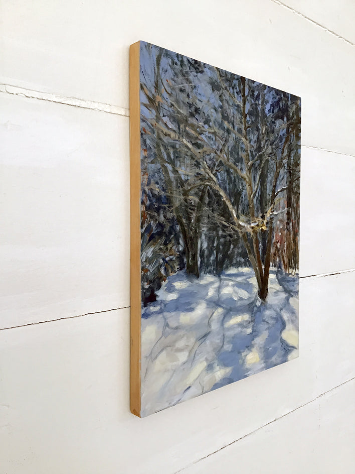 Winter Study, Light and Shadows by Elizabeth Garat |  Context View of Artwork