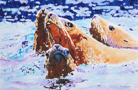 Original art for sale at UGallery.com | Steller Sea Lions at Sea by Emil Morhardt | $1,925 | acrylic painting | 24' h x 36' w