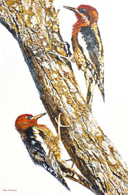 acrylic painting by Emil Morhardt titled Woodpeckers on Tree