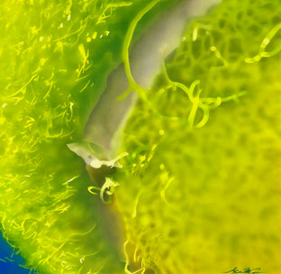 Tennis Ball by Stephen Capogna |   Closeup View of Artwork 