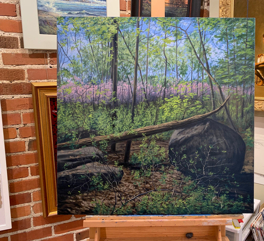 Spring on Little Round Top by Jay Jensen |  Context View of Artwork