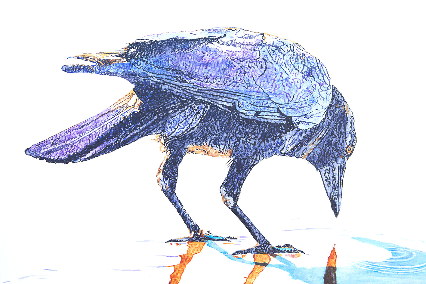 A Crow Reflecting on the Beach by Emil Morhardt |  Closeup View of Artwork