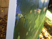 Original art for sale at UGallery.com | Yellow Sky by Janet Dyer | $1,625 | acrylic painting | 24' h x 30' w | thumbnail 2