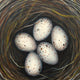 Original art for sale at UGallery.com | Anna's Nest - A Light Unto Ourselves by Jennifer Ross | $1,150 | oil painting | 20' h x 20' w | thumbnail 4