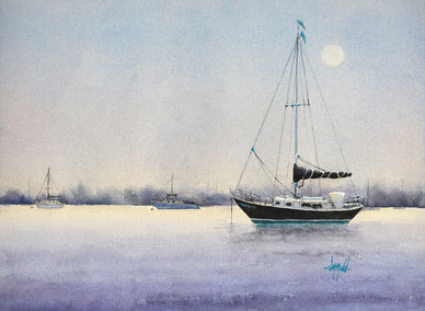 watercolor painting by Judy Mudd titled Moonglow Black Beauty