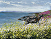 Original art for sale at UGallery.com | Wildflowers on the Coast by Lisa Elley | $525 | oil painting | 12' h x 16' w | thumbnail 1