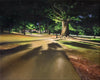 Original art for sale at UGallery.com | Night Shadows by Nick Savides | $2,100 | oil painting | 16' h x 20' w | thumbnail 1