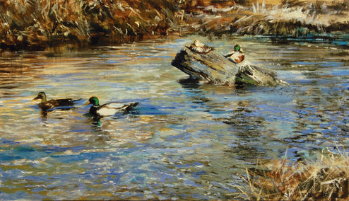 oil painting by Onelio Marrero titled Mallard Pairs in Winter