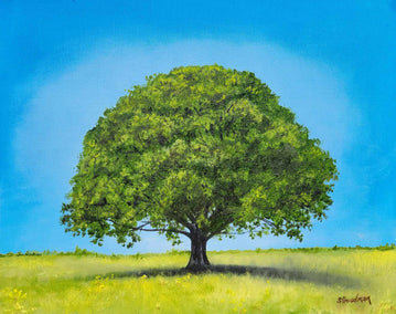 oil painting by Shela Goodman titled The Mighty Oak