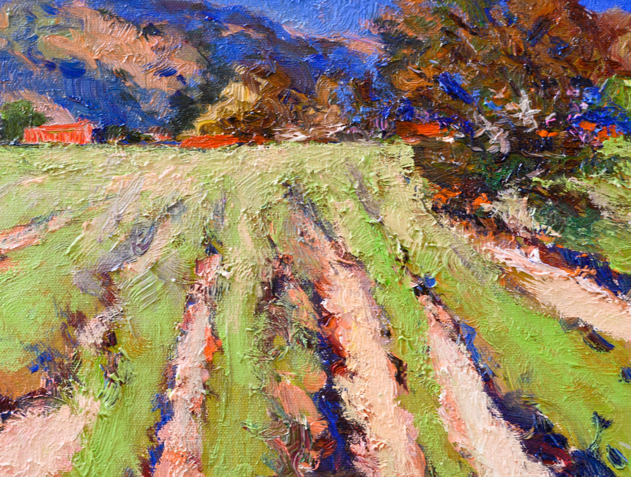 Vineyards and Mountains by Suren Nersisyan |  Closeup View of Artwork