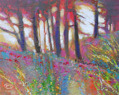 Sunlight On Trees by Kip Decker | Artwork Main Image