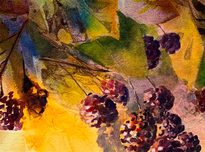 Blackberries by Melissa Gannon |   Closeup View of Artwork 
