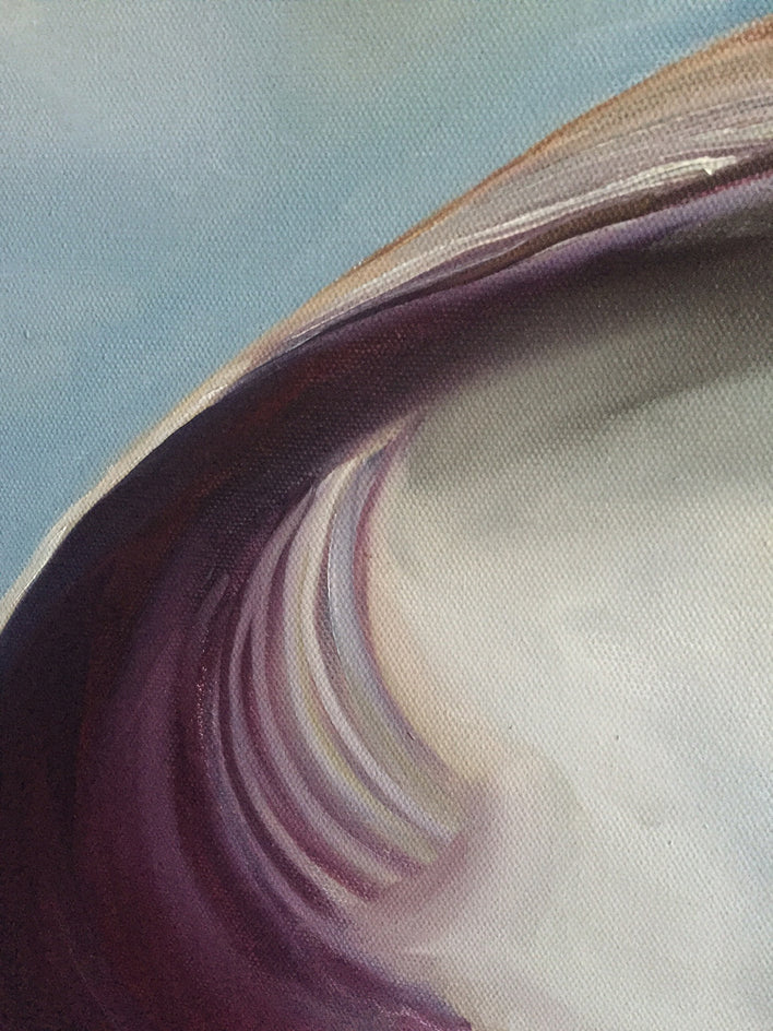 Atlantic Clam Shell by Kristine Kainer |  Closeup View of Artwork 