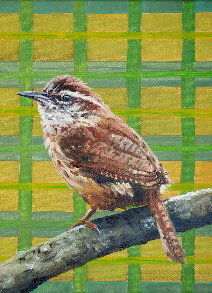 Carolina Wren by Alana Clumeck |  Closeup View of Artwork 