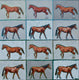 Original art for sale at UGallery.com | One Among Many by Alana Clumeck | $1,325 | oil painting | 30' h x 30' w | thumbnail 1