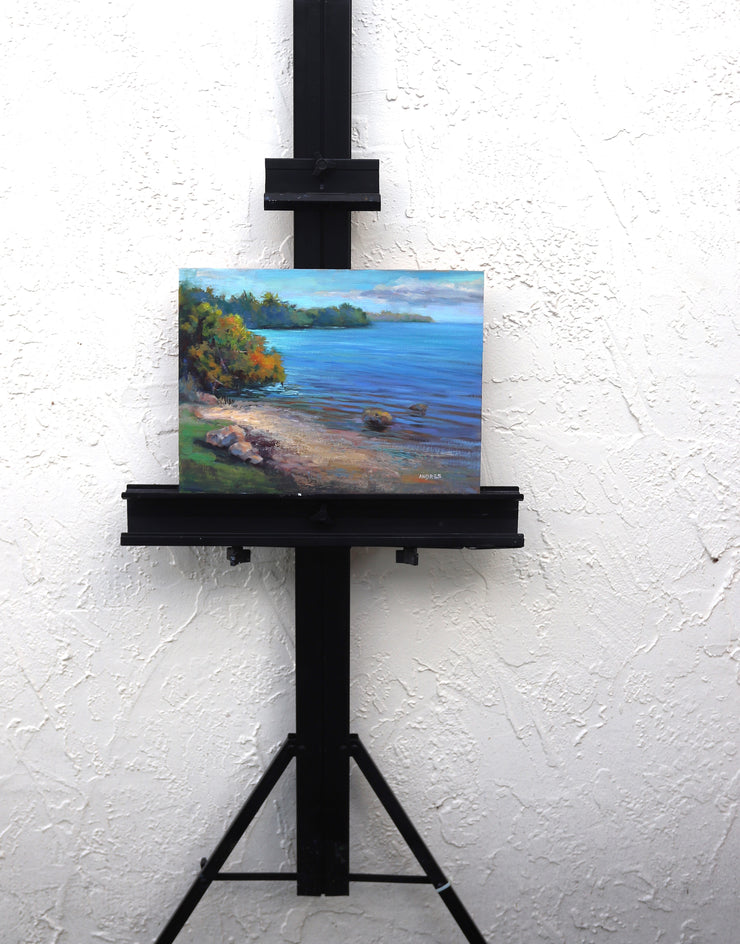 Shallow Waters by Andres Lopez |  Context View of Artwork 