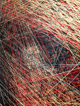 Fiery Confidence by Ani Abakumova |   Closeup View of Artwork 