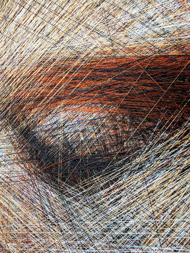 La Flamme by Ani Abakumova |   Closeup View of Artwork 