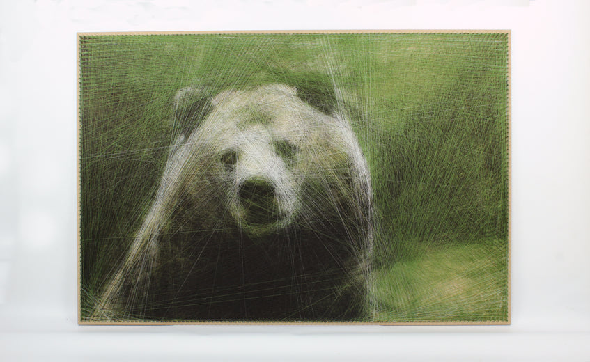 Cozy Bear by Ani Abakumova |  Context View of Artwork 