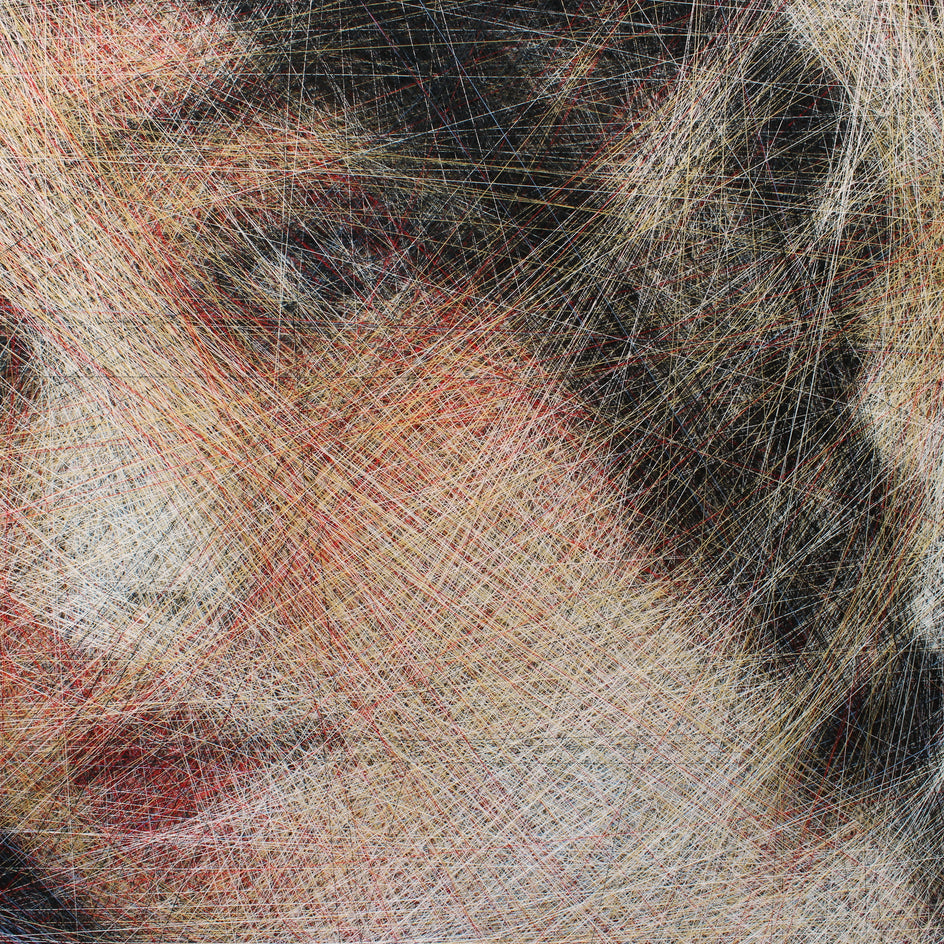 Genius of Pure Beauty by Ani Abakumova |  Closeup View of Artwork 