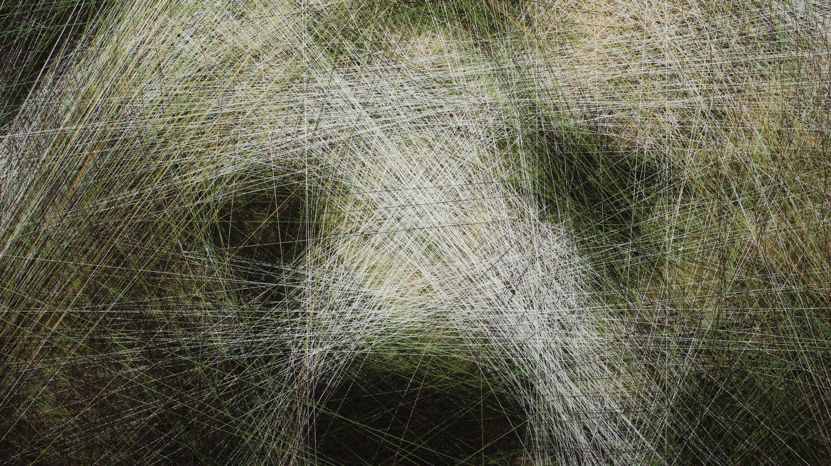 Cozy Bear by Ani Abakumova |  Closeup View of Artwork 