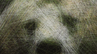 Cozy Bear by Ani Abakumova |   Closeup View of Artwork 