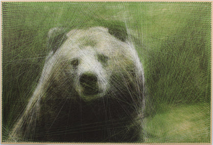 fiber artwork by Ani Abakumova titled Cozy Bear