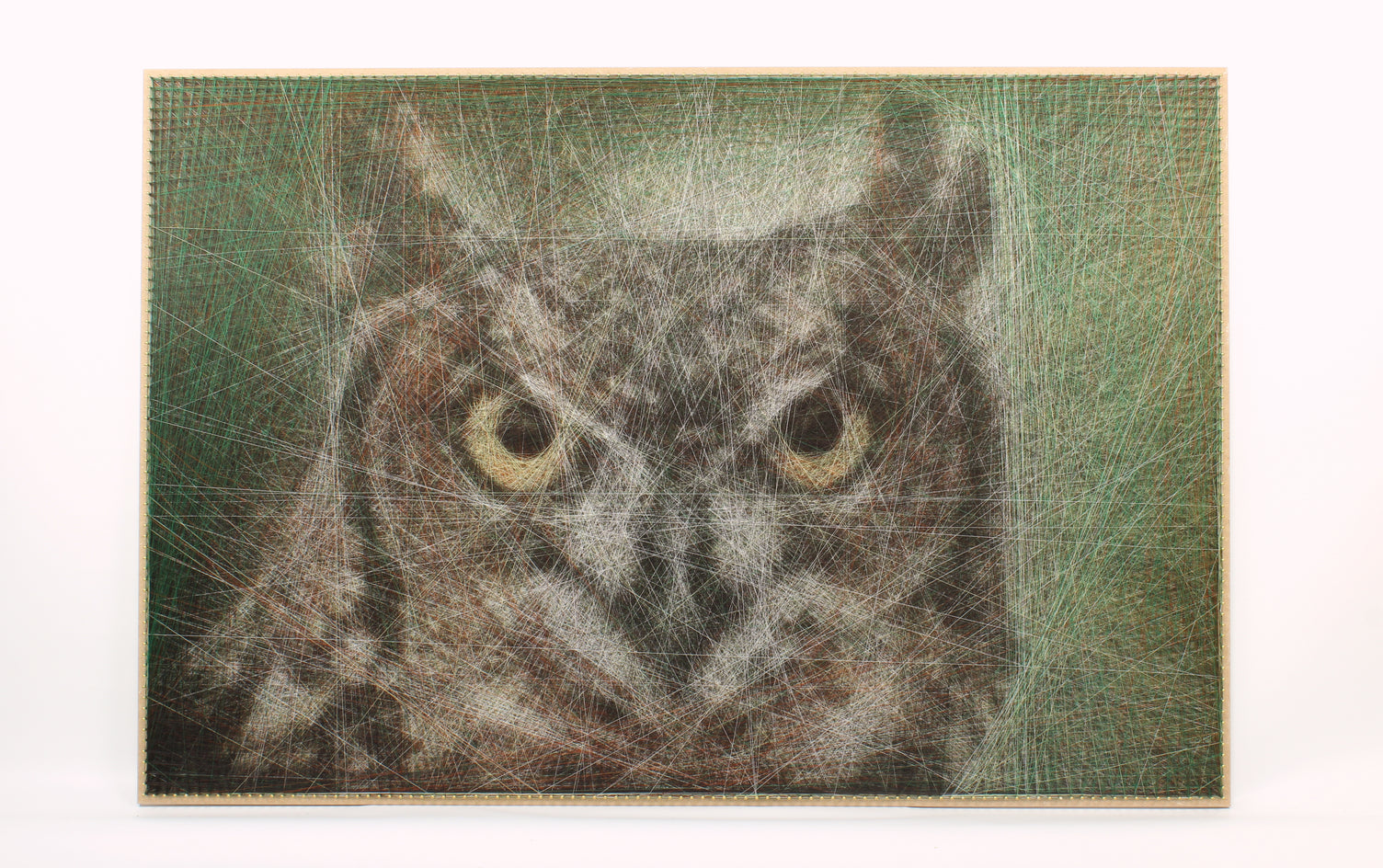 The Lover of Sound by Ani Abakumova |  Context View of Artwork 