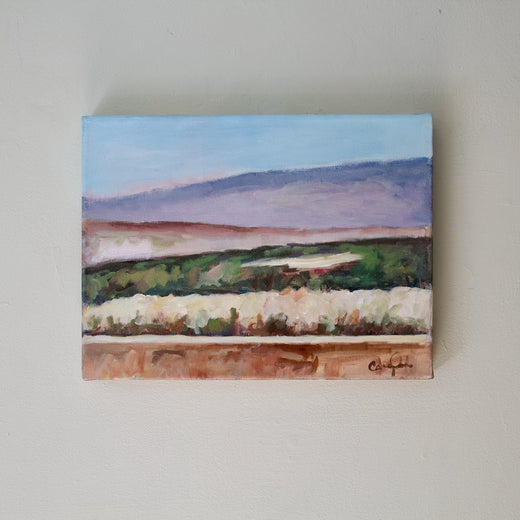 Mad River Valley by Carey Parks |  Context View of Artwork 