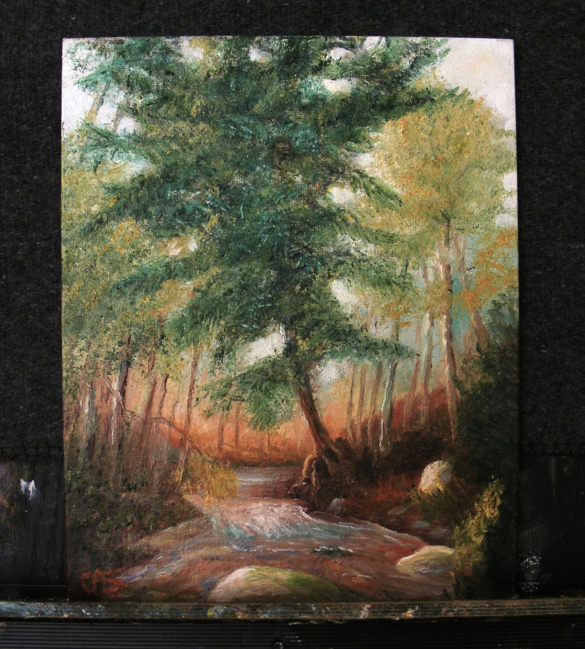 Pine Tree by the Stream by Carolyn Steward |  Context View of Artwork 