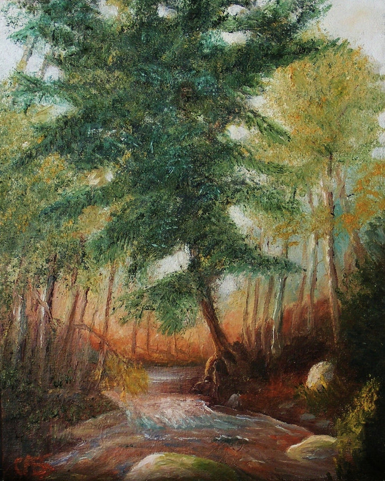 Pine Tree by the Stream by Carolyn Steward |  Artwork Main Image 