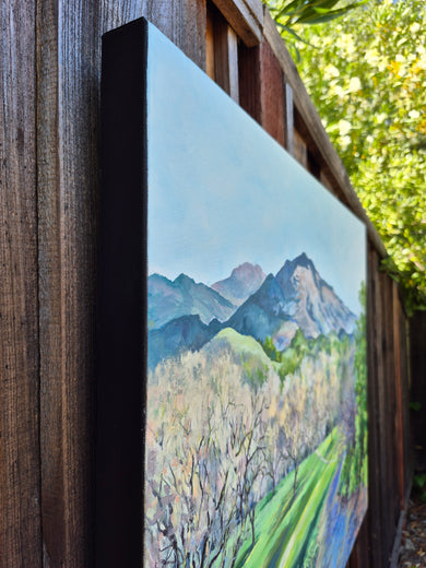 Mt. Diablo from the Old Orchard by Catherine McCargar |  Side View of Artwork 
