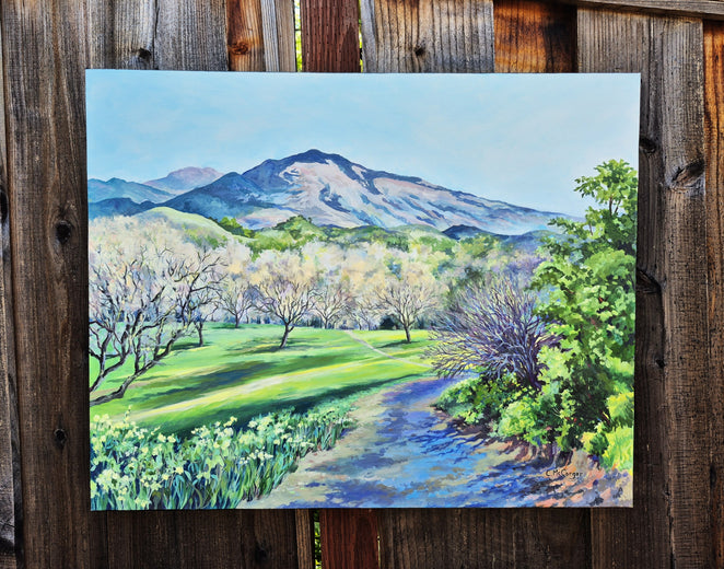 Mt. Diablo from the Old Orchard by Catherine McCargar |  Context View of Artwork 