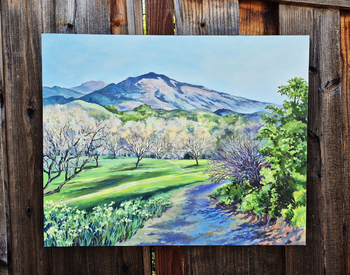 Mt. Diablo from the Old Orchard by Catherine McCargar |  Context View of Artwork 