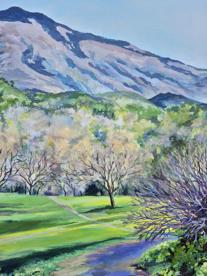 Mt. Diablo from the Old Orchard by Catherine McCargar |  Closeup View of Artwork 
