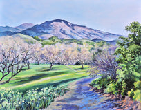Original art for sale at UGallery.com | Mt. Diablo from the Old Orchard by Catherine McCargar | $2,275 | acrylic painting | 24' h x 30' w | thumbnail 1