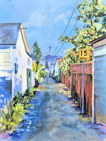 acrylic painting by Catherine McCargar titled Petaluma Alley